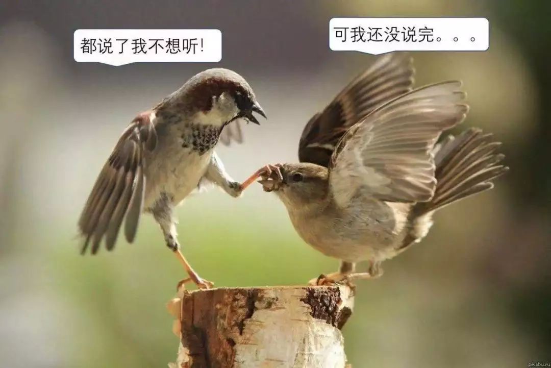 地表最强教师天团:多伦多首家中文分级阅读馆开了,你还在逼娃“抄生字”吗? 地表最强教师天团:多伦多首家中文分级阅读馆开了,你还在逼娃“抄生字”吗?