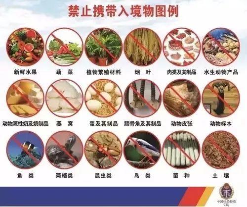 带Gucci包回国，直接进了小黑屋！被罚近万元！今年回国前，一定要知道这些！