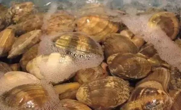 加拿大的黑暗料理大汇总，看看你吃过几样？你会对洗脚水+风油精有新看法！