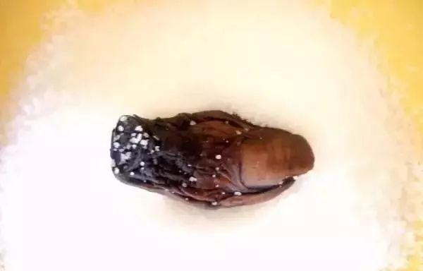 加拿大的黑暗料理大汇总，看看你吃过几样？你会对洗脚水+风油精有新看法！