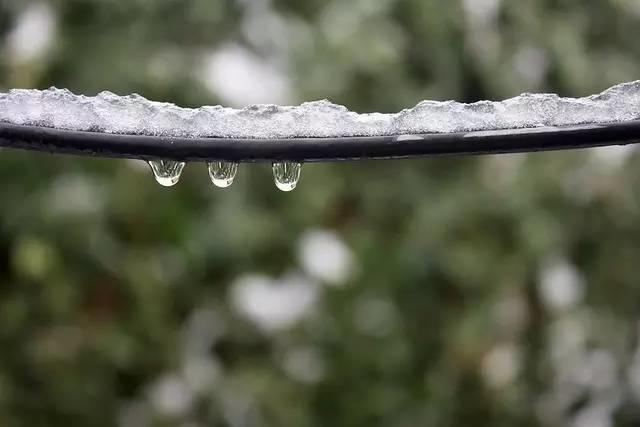 堆雪人违法?爬树违法?央街不能拖死马?看看加拿大的有些法律到底有多奇葩! 堆雪人违法?爬树违法?央街不能拖死马?看看加拿大的有些法律到底有多奇葩!