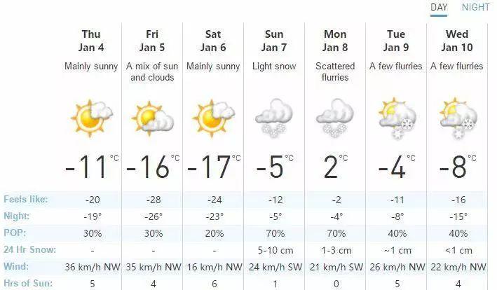 妖风+暴雪，多伦多的极寒天气又来了！冻疯了的我们只能这样玩了...