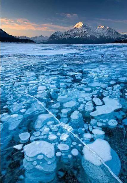 妖风+暴雪，多伦多的极寒天气又来了！冻疯了的我们只能这样玩了...