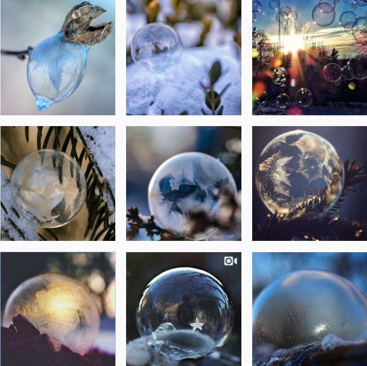 妖风+暴雪，多伦多的极寒天气又来了！冻疯了的我们只能这样玩了...