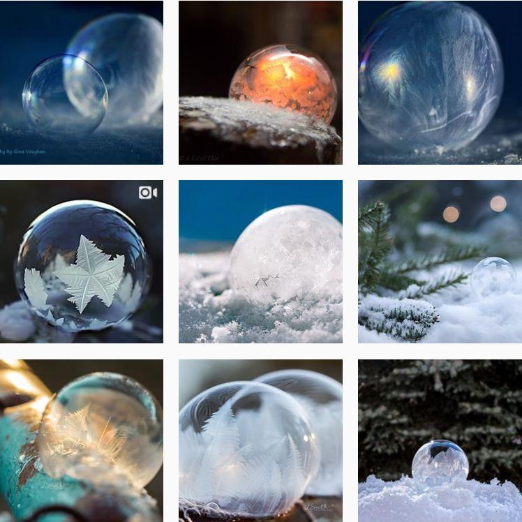 妖风+暴雪，多伦多的极寒天气又来了！冻疯了的我们只能这样玩了...