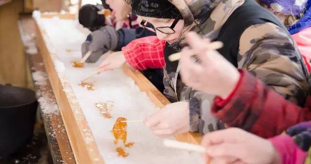 多伦多2018枫糖节来了：坐马车吃煎饼采枫糖必去的10个农场