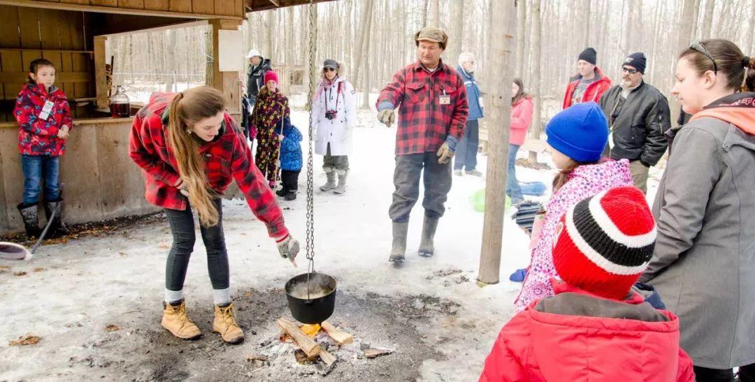 多伦多2018枫糖节来了：坐马车吃煎饼采枫糖必去的10个农场
