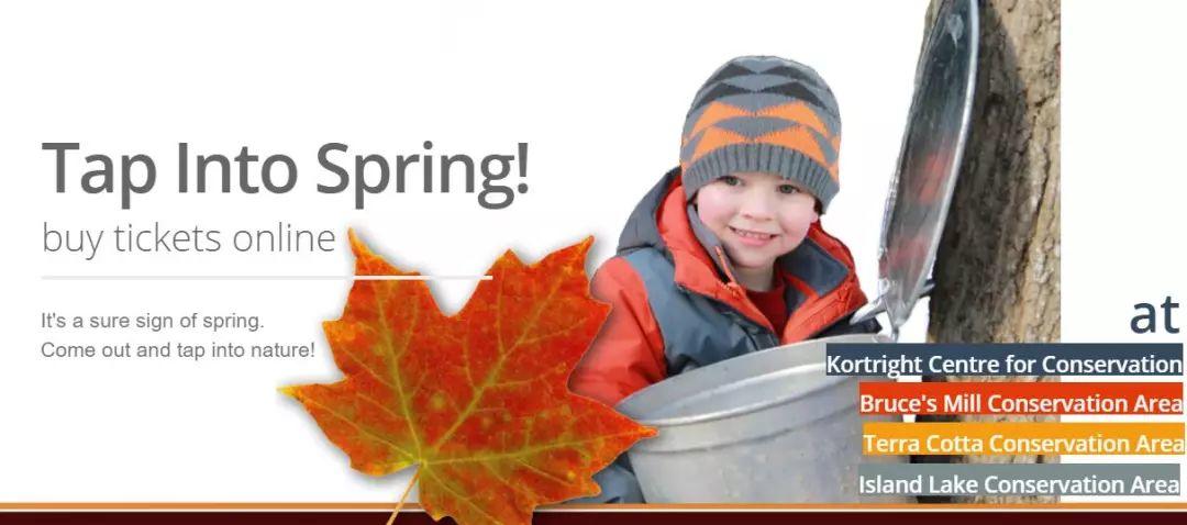 多伦多2018枫糖节来了：坐马车吃煎饼采枫糖必去的10个农场