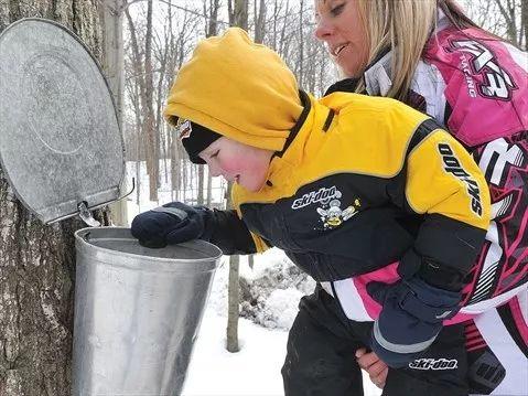 多伦多2018枫糖节来了：坐马车吃煎饼采枫糖必去的10个农场