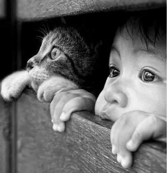 新移民留4岁孩子独自在家 几分钟警察找上门！差点失去孩子！