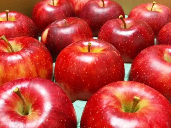 加拿大10大最脏蔬果排名：多吃牛油果少吃草莓！