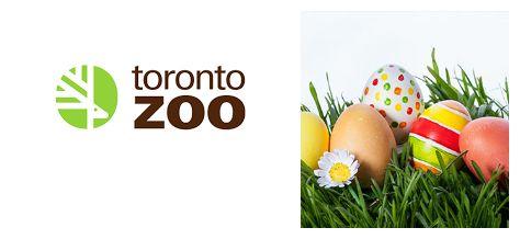 复活节egghunt活动集锦孩子们开春狂欢节第一波