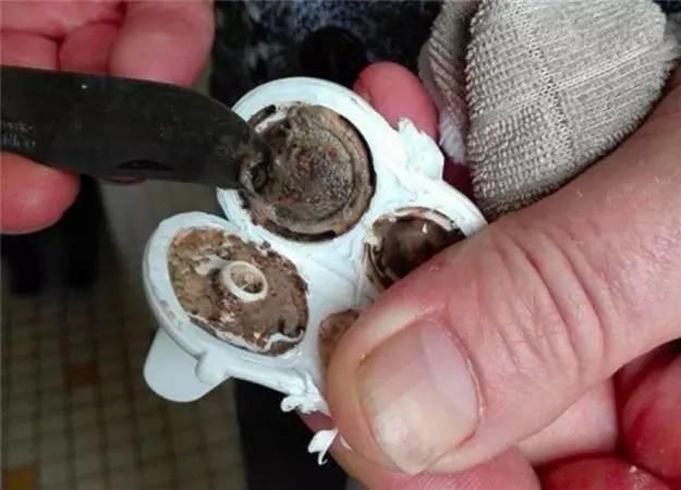 Yucky ducky? 孩子洗澡玩的小黄鸭在暗搓搓地发霉，你却不知道！