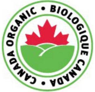 深扒娃的第一口干货:加拿大婴幼儿米糊品牌 深扒娃的第一口干货:加拿大婴幼儿米糊品牌