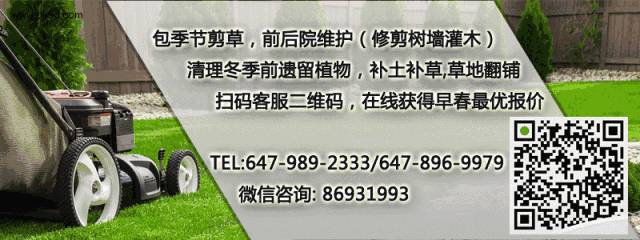 【工具篇】打理你家草坪的十八般“兵器”了解一下