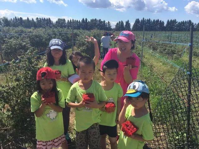 国内爆红的手脑速算课，多伦多去哪儿学？（内附夏令营攻略）