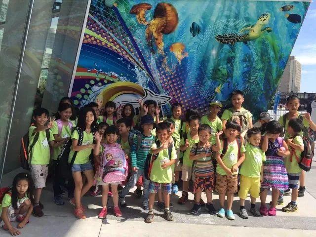 国内爆红的手脑速算课，多伦多去哪儿学？（内附夏令营攻略）