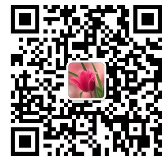 国内爆红的手脑速算课，多伦多去哪儿学？（内附夏令营攻略）