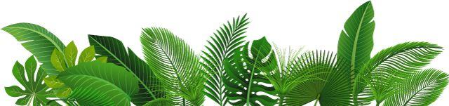 万国击剑夏令营:这个夏天我们一起来体验格斗中的芭蕾 万国击剑夏令营:这个夏天我们一起来体验格斗中的芭蕾