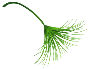 万国击剑夏令营:这个夏天我们一起来体验格斗中的芭蕾 万国击剑夏令营:这个夏天我们一起来体验格斗中的芭蕾