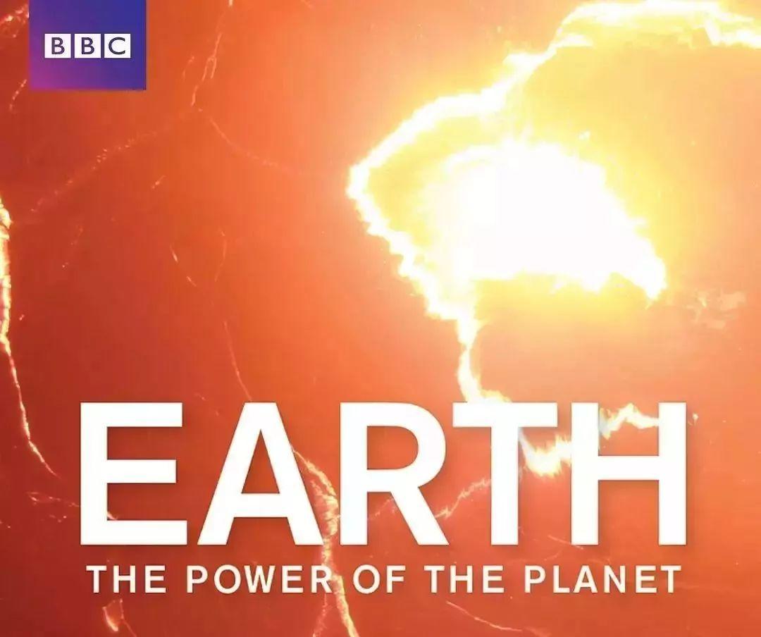 【地球日】最适合孩子看的8部BBC经典自然纪录片