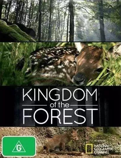【地球日】最适合孩子看的8部BBC经典自然纪录片