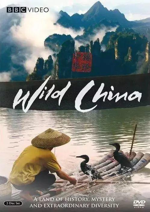 【地球日】最适合孩子看的8部BBC经典自然纪录片