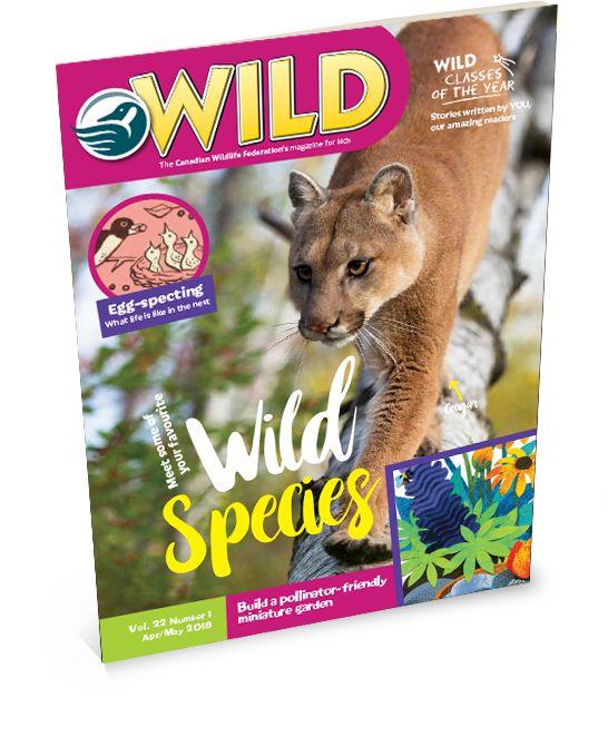 爱学习的妈和娃：多伦多订阅各种儿童期刊攻略！码住收藏！