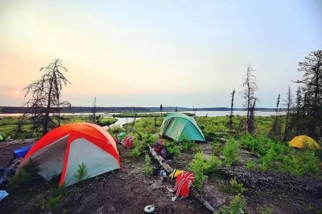 安省国家公园本周开始陆续开放！有娃家庭的露营全攻略：手把手教你如何露营！