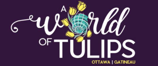 渥太华郁金香节游玩全攻略：春风十里就差你！组个团，约不约？