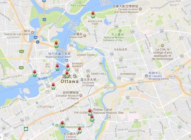 渥太华郁金香节游玩全攻略：春风十里就差你！组个团，约不约？