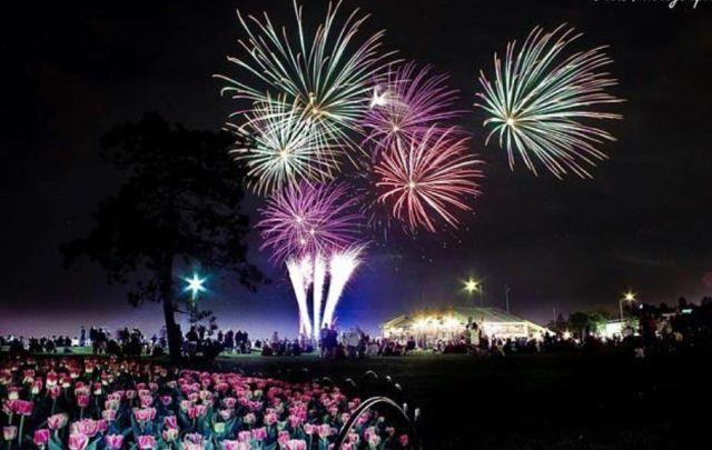 渥太华郁金香节游玩全攻略：春风十里就差你！组个团，约不约？