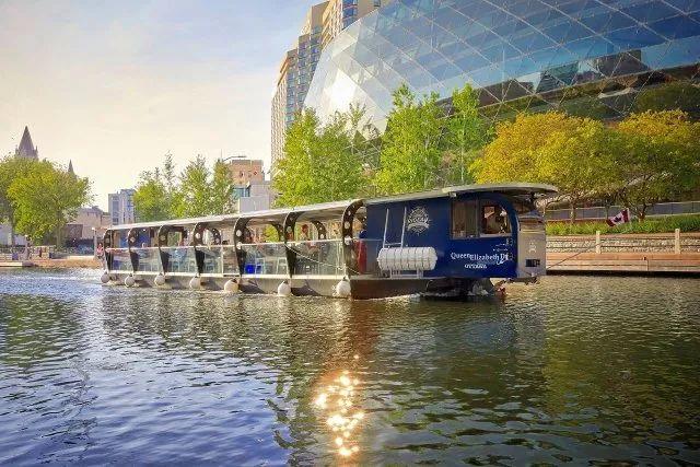 渥太华郁金香节游玩全攻略：春风十里就差你！组个团，约不约？