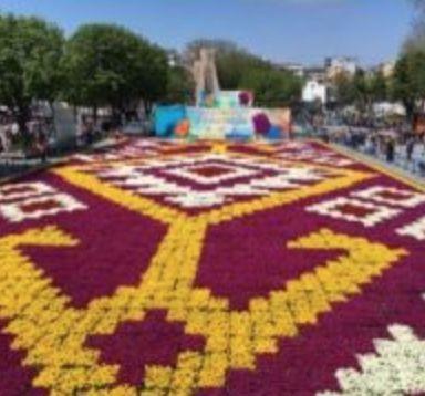 渥太华郁金香节游玩全攻略：春风十里就差你！组个团，约不约？