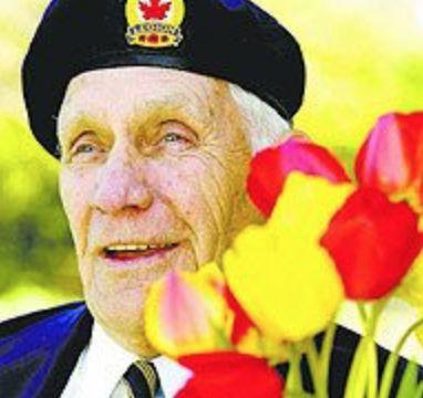 渥太华郁金香节游玩全攻略：春风十里就差你！组个团，约不约？