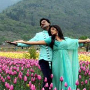 渥太华郁金香节游玩全攻略：春风十里就差你！组个团，约不约？