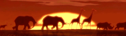 超省钱购票秘籍！野生动物园African Lion Safari今天开园！