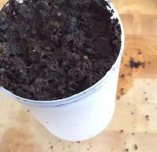 听说买了个番茄切成片埋土里,然后就有吃也吃不完的... 听说买了个番茄切成片埋土里,然后就有吃也吃不完的...