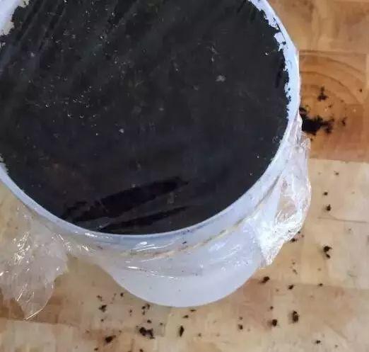 听说买了个番茄切成片埋土里,然后就有吃也吃不完的... 听说买了个番茄切成片埋土里,然后就有吃也吃不完的...