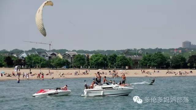 Picnic才是正经事：GTA地区10个最适合带娃去野餐的公园