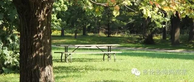 Picnic才是正经事：GTA地区10个最适合带娃去野餐的公园