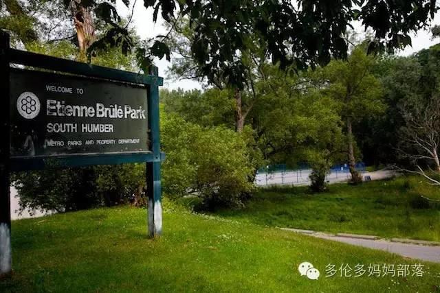 Picnic才是正经事：GTA地区10个最适合带娃去野餐的公园