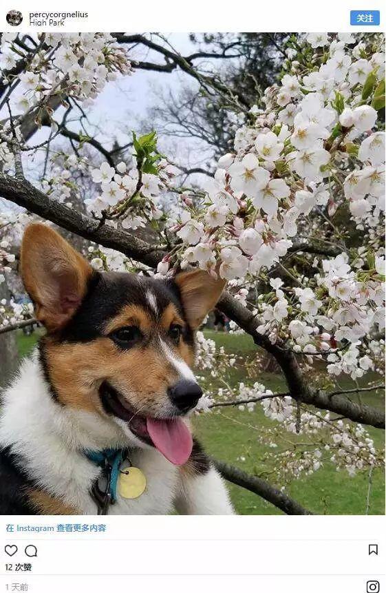 Picnic才是正经事：GTA地区10个最适合带娃去野餐的公园