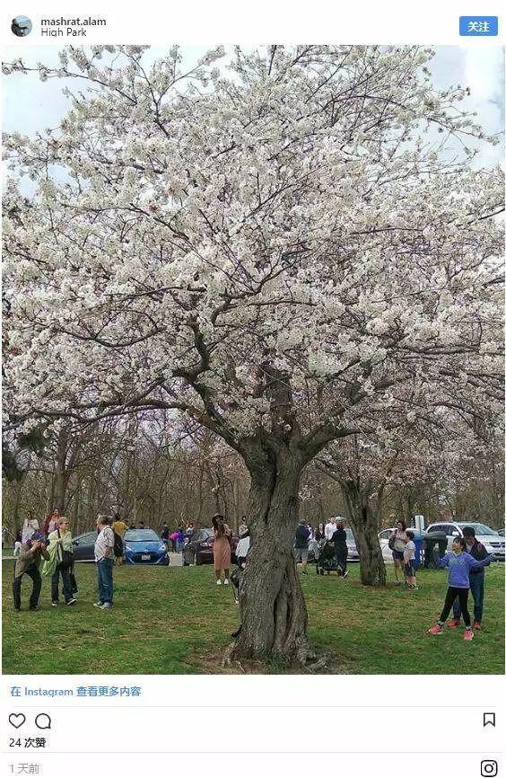 Picnic才是正经事：GTA地区10个最适合带娃去野餐的公园