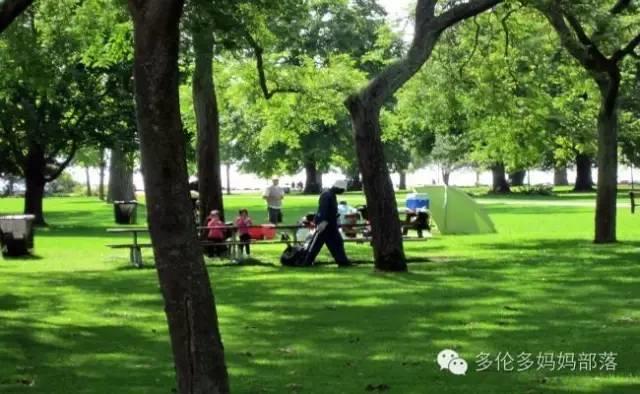 Picnic才是正经事：GTA地区10个最适合带娃去野餐的公园
