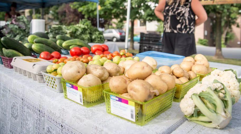 GTA地区农贸市场开市了：这几个最适合有娃家庭吃喝玩乐