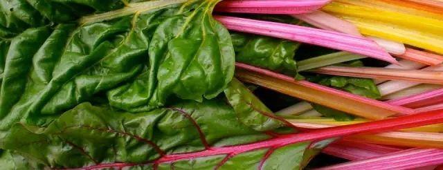 GTA地区农贸市场开市了：这几个最适合有娃家庭吃喝玩乐