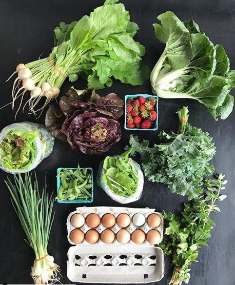 GTA地区农贸市场开市了：这几个最适合有娃家庭吃喝玩乐