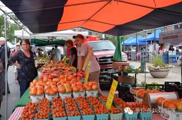 GTA地区农贸市场开市了：这几个最适合有娃家庭吃喝玩乐