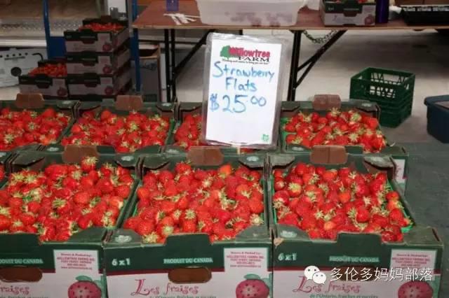 GTA地区农贸市场开市了：这几个最适合有娃家庭吃喝玩乐